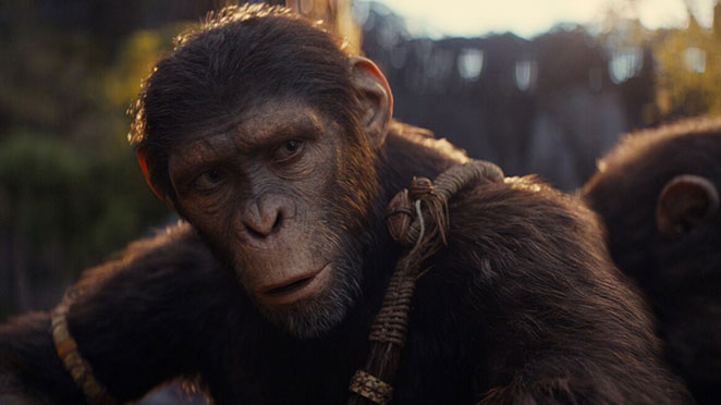 Kingdom Of The Planet Of The Apes (12A)
